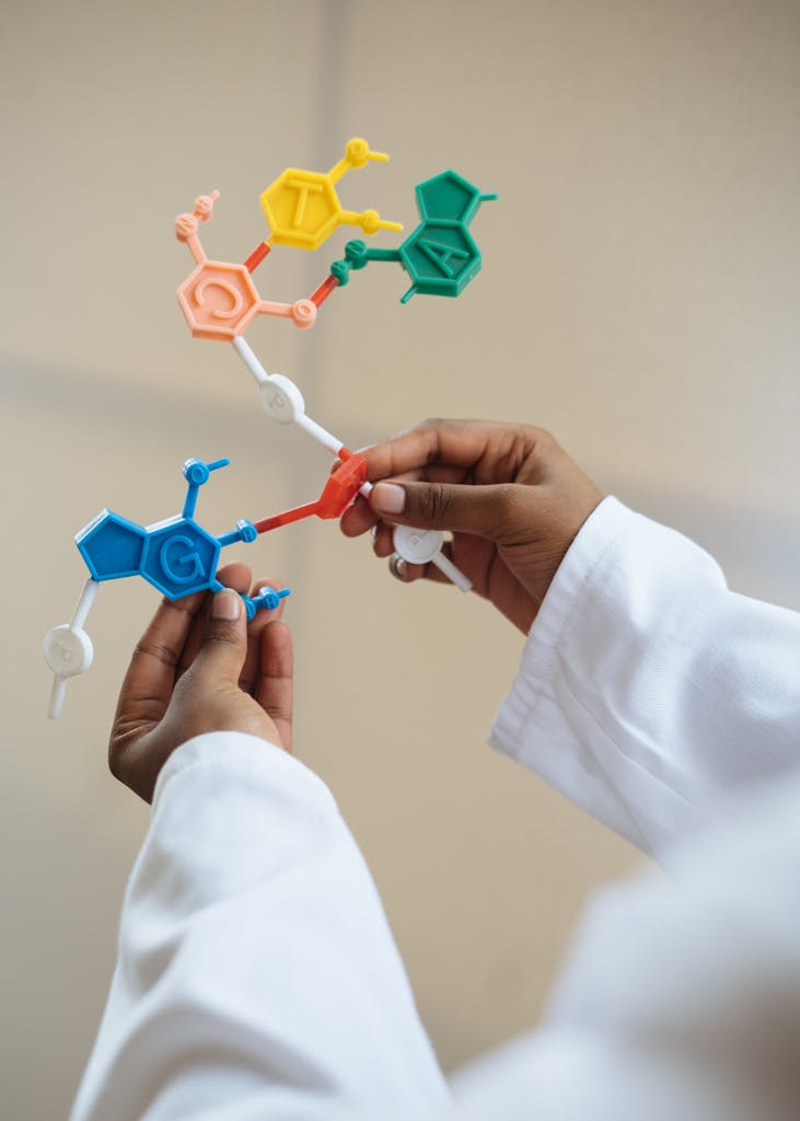 Close-up of a scientist's hands holding a colorful molecular model in a lab setting.